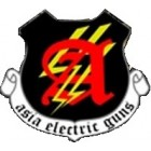 ASIA ELECTRIC GUNS