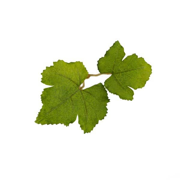 Novritsch LEAF CAMO 3D Leaves LC1, 50 pcs - Fern
