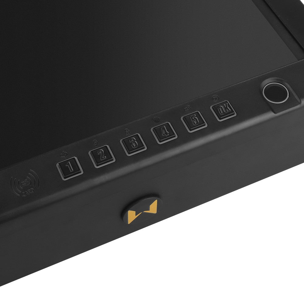 WOSPORT CASSETTA DI SICUREZZA IN METALLO SMART IMPRONTA DIGITALE (WO-TG90)